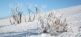 Schneeschuhwanderung und Wellness in der Auvergne France écotours 3
