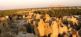 Oase Siwa & Great Sand Sea Antares Touren 5
