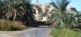 Oase Siwa & Great Sand Sea Antares Touren 11