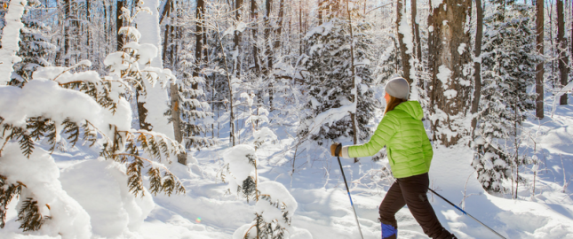 Skifahrerin im Winterwald